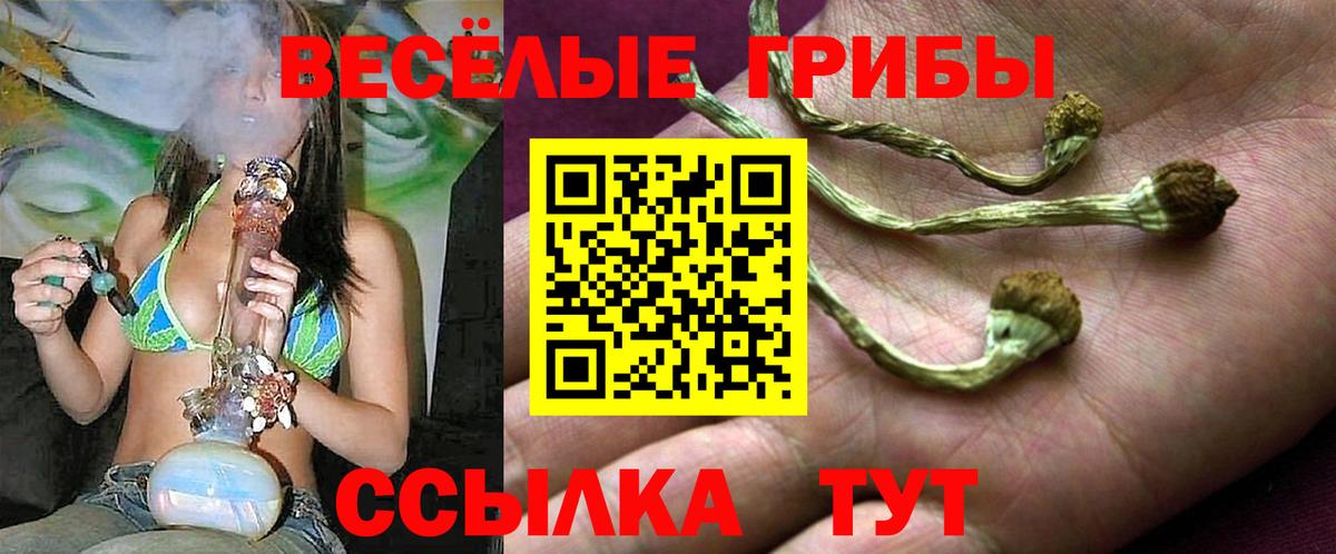 Железноводск  Галлюциногенные грибы Psilocybe  Вход с VPN 