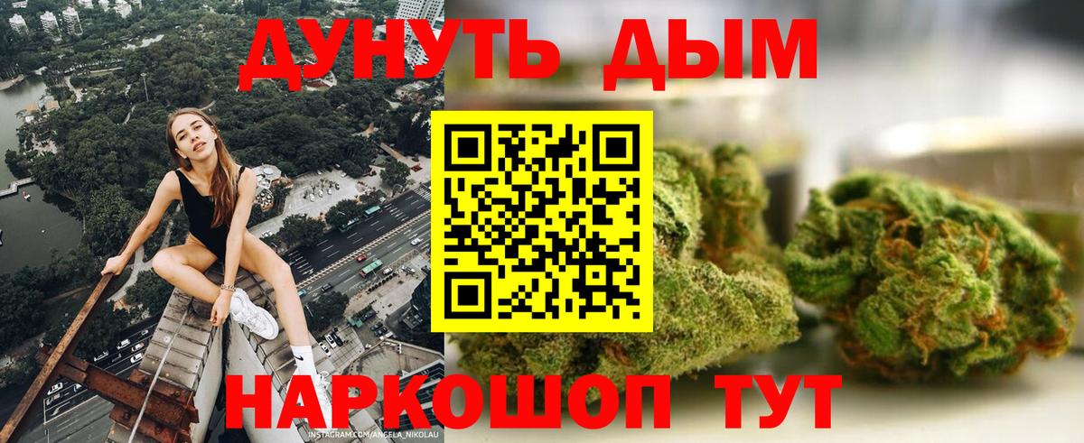 Конопля конопля Железноводск